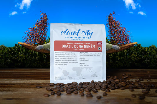 Brazil Fazenda Dona Neném